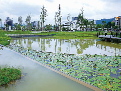 The picturesque wetland with wooden walkways are also Hsin Hsin Park's distinguishing features. (Photo/Liu Jiawen)