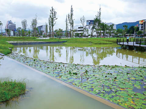 水上に木製の歩道が設置された新新公園は、美しい景観をバックに写真を撮るのも一つの楽しみ方です。(写真 / 劉佳雯)