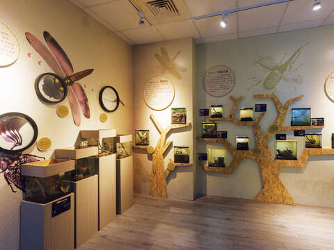 The exhibition in the Taiwan Insect Hall displays and recreates the habitats of various creepy-crawly creatures. (Photo/Taiwan Insect Hall)