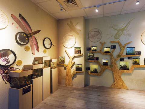 ​​​​​​​台湾昆虫館では展示物を通して昆虫や爬虫類の生息環境を学ぶことができます。( 写真/ 台湾昆虫館 )