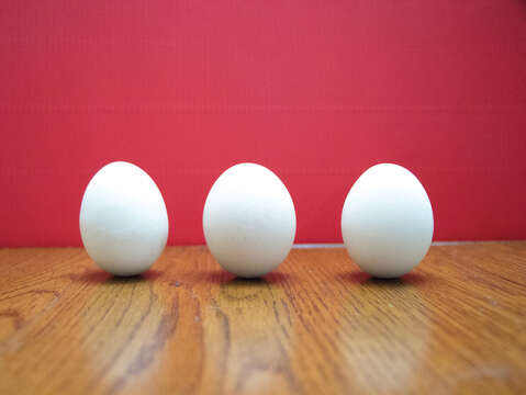 Try your luck by balancing eggs at noon! (Photo/Taiwan Scene)