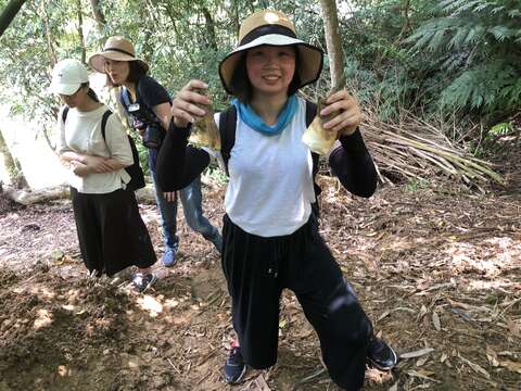 採採筍