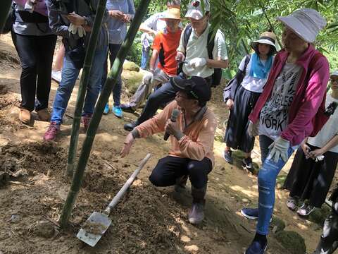 採筍示範