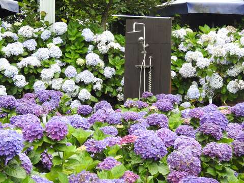 花谷--花田淋浴間