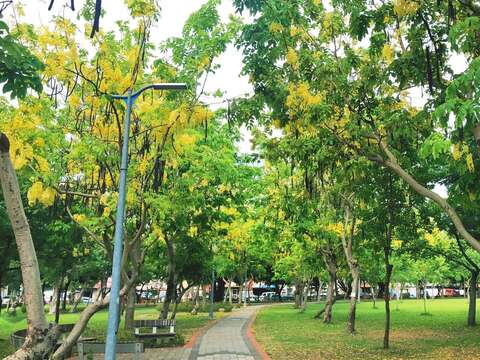 美崙公園花海廊道