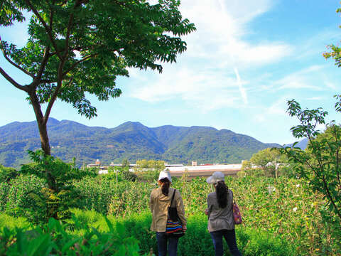 11站在空曠處，可遠眺群山及及捷運淡水線