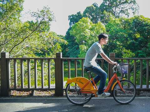 34夏日午後，遠離惱人塵囂，跟著我們騎著單車賞花看樹去