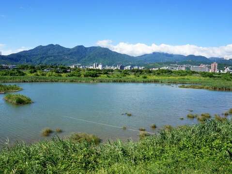 水利處正式推出「解說小築週六環教課程」