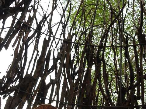 市長參觀農場中的公園倒木樹枝回收搭建的藝術樹屋