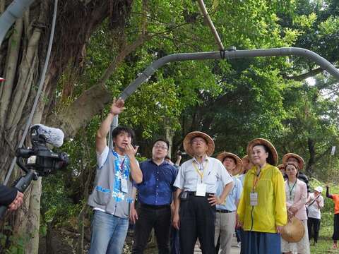 市長參觀農場中榕樹氣生根導根藝術廊道