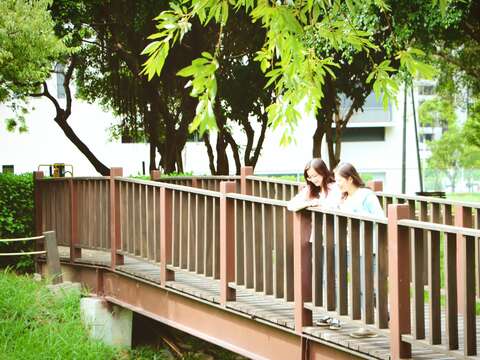中崙仔溝流經貫通此區，將此公園一分為二，故設置2座木棧道鋼橋，用以銜接兩側園區之步道。