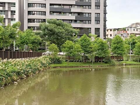 池邊設有環池木棧步道及平臺，沿岸種有蟙蛛百合及落羽松。