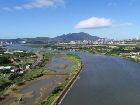 社子島濕地擁有豐富的生態