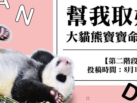 二寶名投票