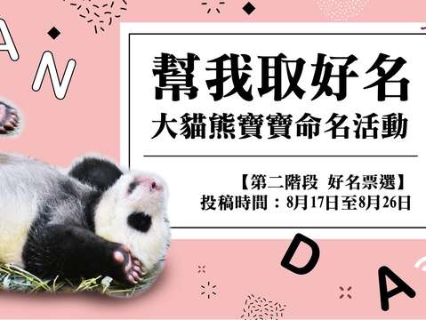 圓仔妹終於啾咪〜命名票決今起跑