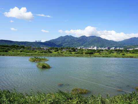 社子島濕地的僅擁有山光水色的絕佳美景