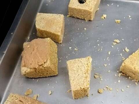 為了幫助大貓熊「圓圓」泌乳過程更加平順，專家建議保育員可以給大貓熊「圓圓」補充「豌豆分離蛋白」