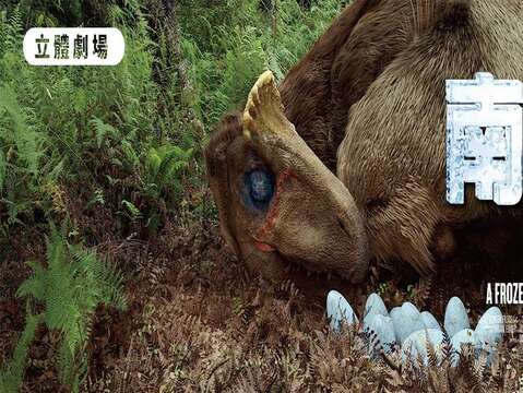 天文館敬師月立體劇場優惠措施