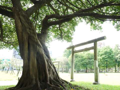 公園乘載了都市變遷的軌跡，在綠地與設施間取得平衡