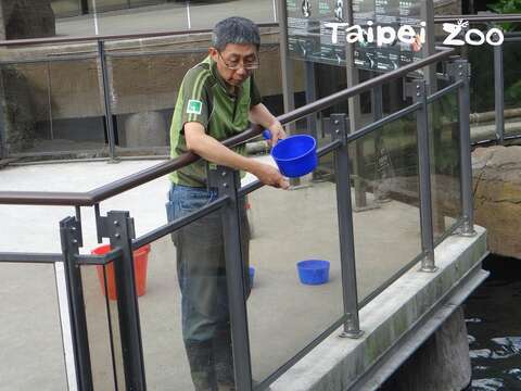 對專業的保育員來說，魚隻混養是一大難題