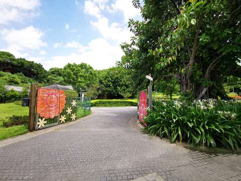 入口處之一：花博公園圓山園區 大門旁種植大片蜘蛛百合 散發濃郁清香