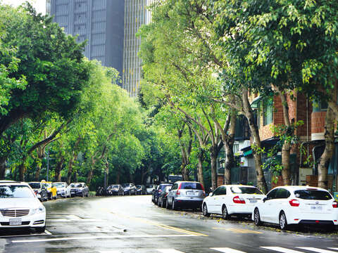 With beautiful trees lined on two sides, Minsheng Community is now a quaint residential area in Songshan District.
