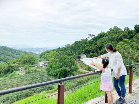茶園內展演廣場可一覽茶園景色，相關牌面解說水土保持設施。