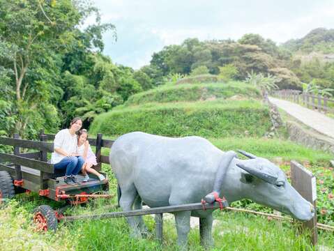 樟樹步道水牛車，充滿農村意象適合拍照留念。