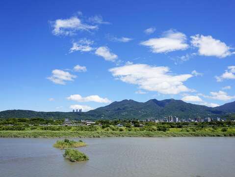 社子島濕地 景色絕美