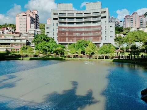 公館公園生態池波光粼粼