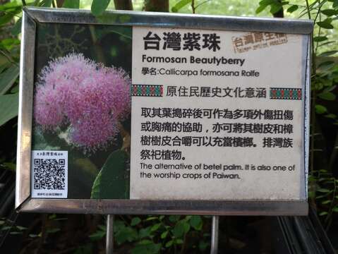原民風味館原住民傳統植物展示區解說牌皆附有QR-CORD，民眾可用手機掃瞄獲得更多資訊。