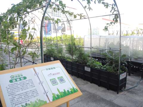 內湖花市之綠屋頂-盆缽型示範區