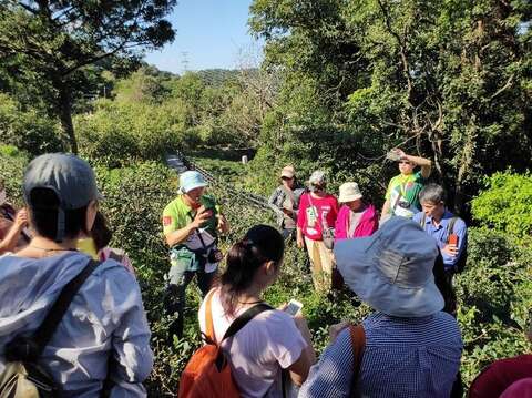 解說茶園蟲害問題應對辦法