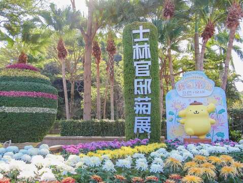 「陀螺」帶您回味古早味的童年時光