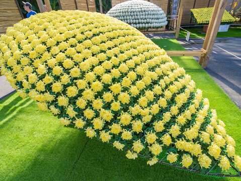 透過不同形狀的層架牽引而成的「水滴型大立菊」