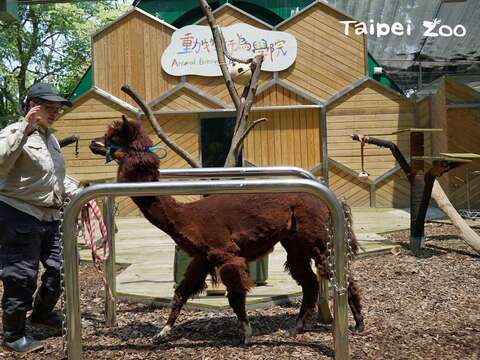 「動物行為學院」即將於明年農曆春節過後正式開張