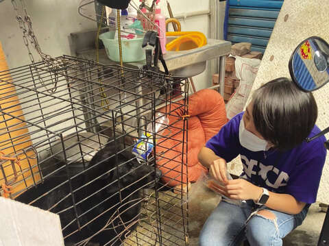 TSPCAは台湾各地へ訪問して虐待動物案件の調査が行える唯一の非営利団体です。