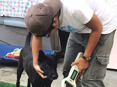 虐待された動物を保護した後はマイクロチップを移植し、飼育や里親探しなどのサポートを行います。