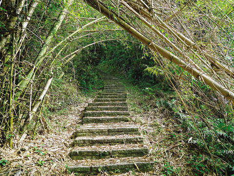 The Four Beasts Mountains hike starts from Hushan Hiking Trail, with many trees providing shade along the way. (Photo/Gao Zanxian)