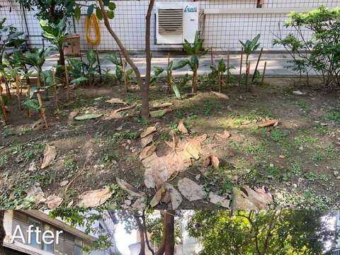 132綠地脫胎換骨