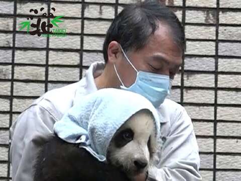 保育員捕獲髒兮兮的小泥熊一隻