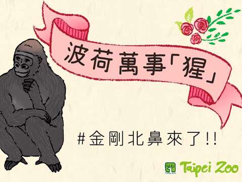 歡迎大家一起來參加金剛北鼻命名活動