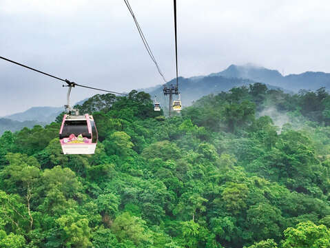 Head up the hill on the Maokong Gondola for a stunning view of Taipei while being surrounded by lush greenery. (Photo/jhecking)