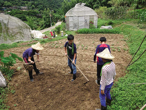 Martin Farm also holds all kinds of seasonal camps for kids and families to participate in farm life in the city. (Photo/Martin Farm)