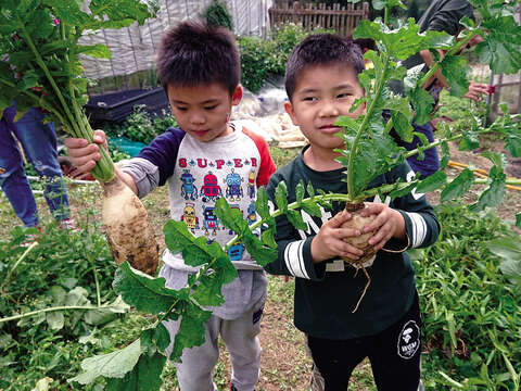 野草花果有機農場は季節ごとにキャンプを開催し、親子で楽しめる農業体験を提供しています。(写真 / 野草花果有機農場)