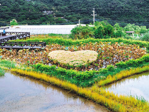 ​​​​​​​2つの水田に挟まれた同心池は、山岳風景の美しさと相まって白石湖における人気の撮影スポットとなっています。