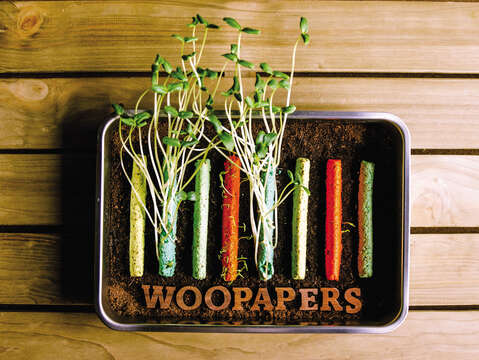 To plant a potted plant using Wooopapers’ products, all you need is to set the seed paper in soil, watering as instructed, and a little bit of TLC. (Photo/Woopapers)