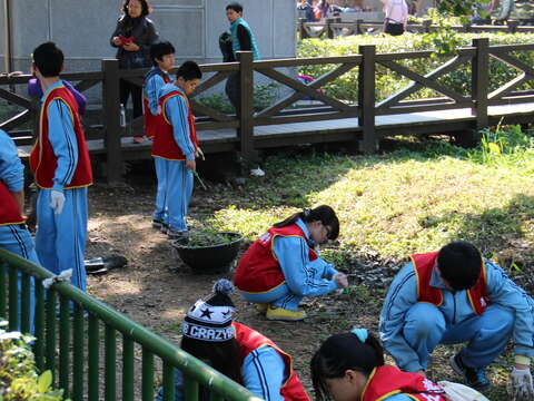 HOT！北市首創公園賞螢地圖