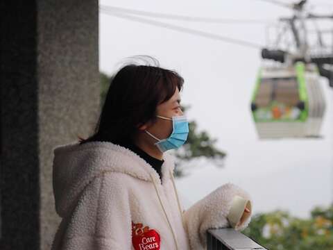 貓纜好風光
