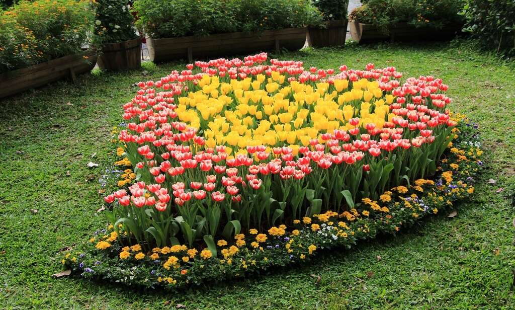 Shilin Residence Tulip Show 2021